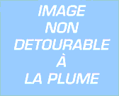 un zoom sur le texte ajouté