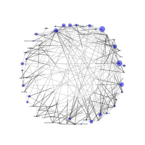 influents, influence, RP 2.0 maelstrom d'influenceurs à influencer.